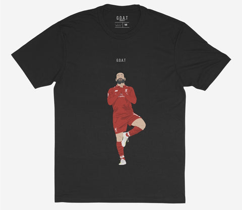 Egyptian King